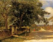 阿尔伯特 比尔施塔特 : Street in Nassau